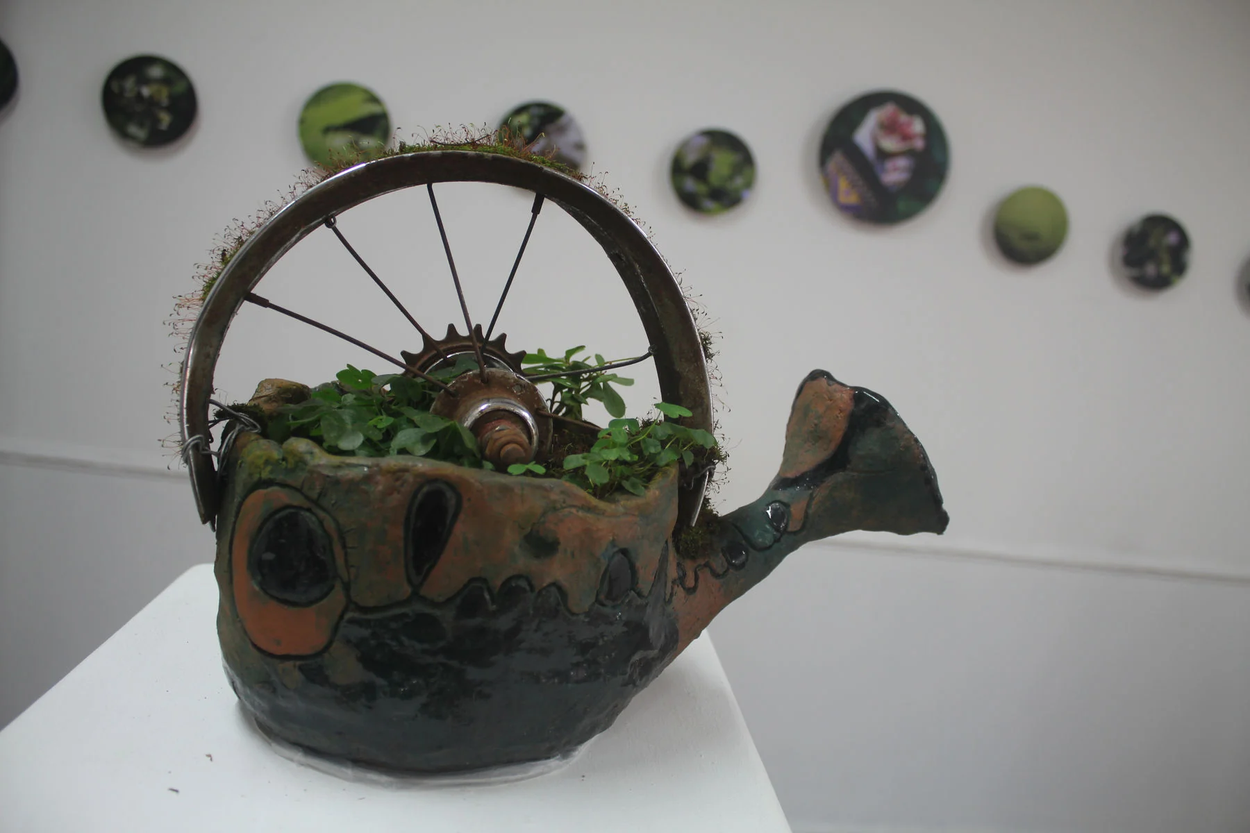 Grüner Daumen — Bild 18