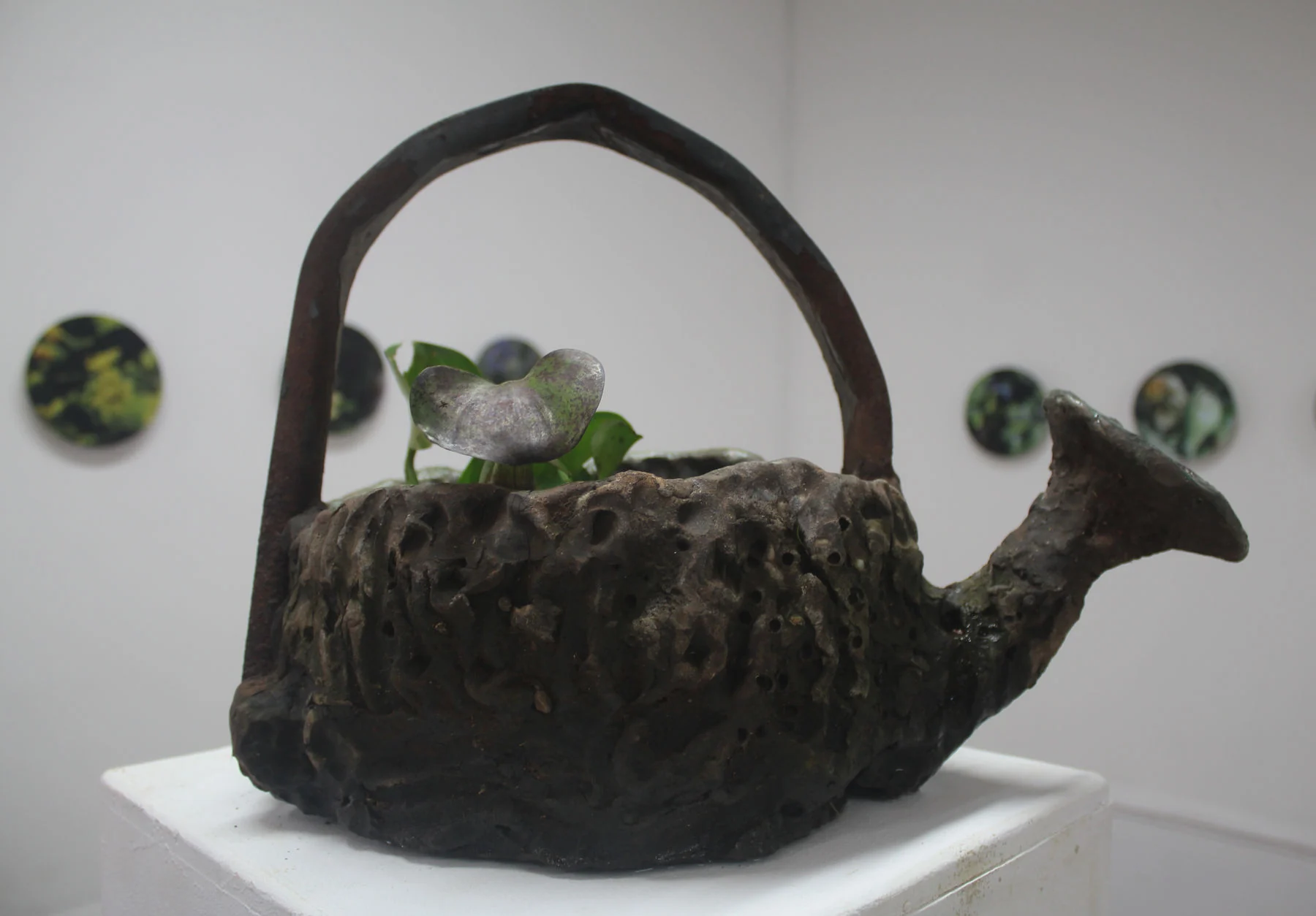 Grüner Daumen — Bild 20